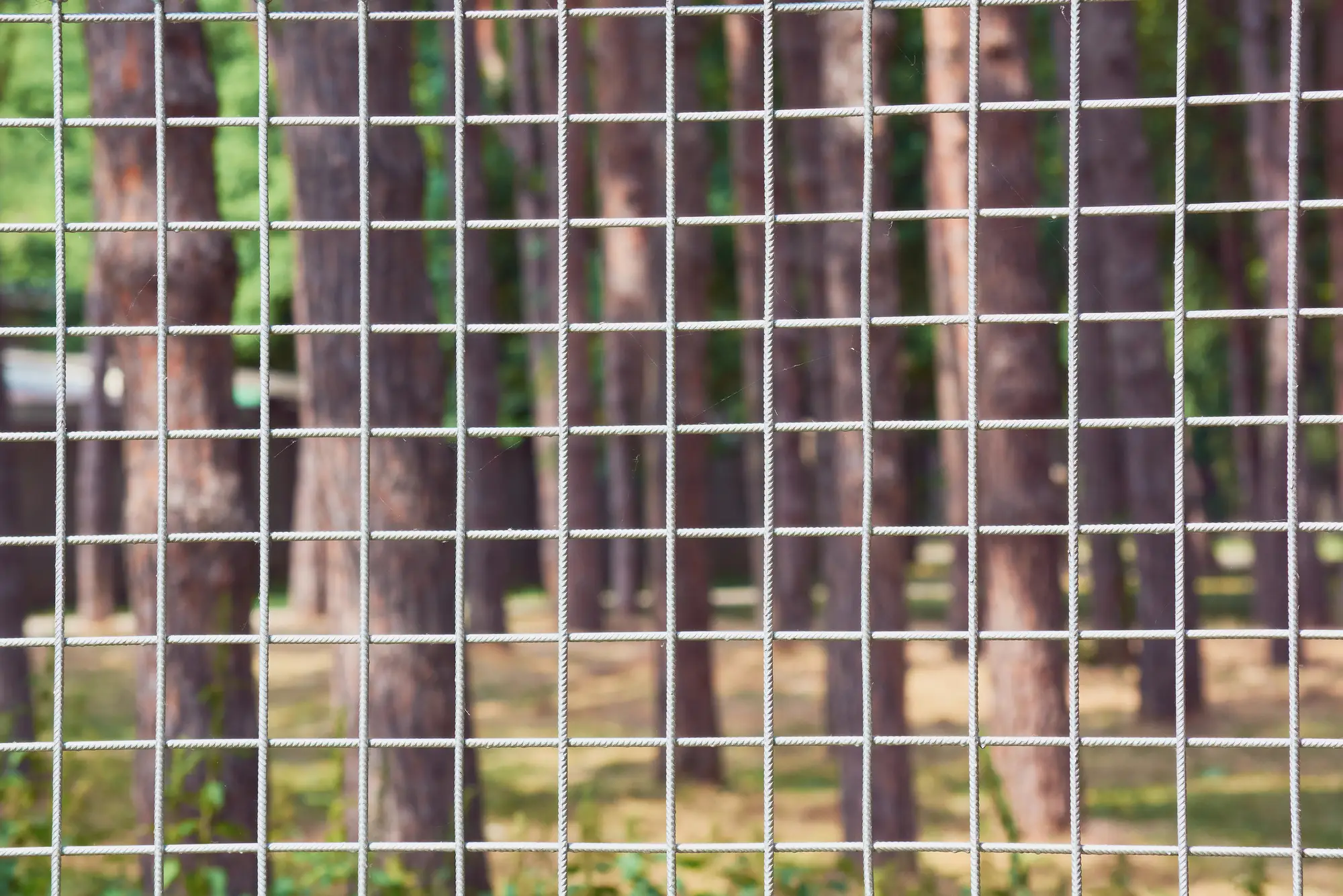 welded wire fence with trees