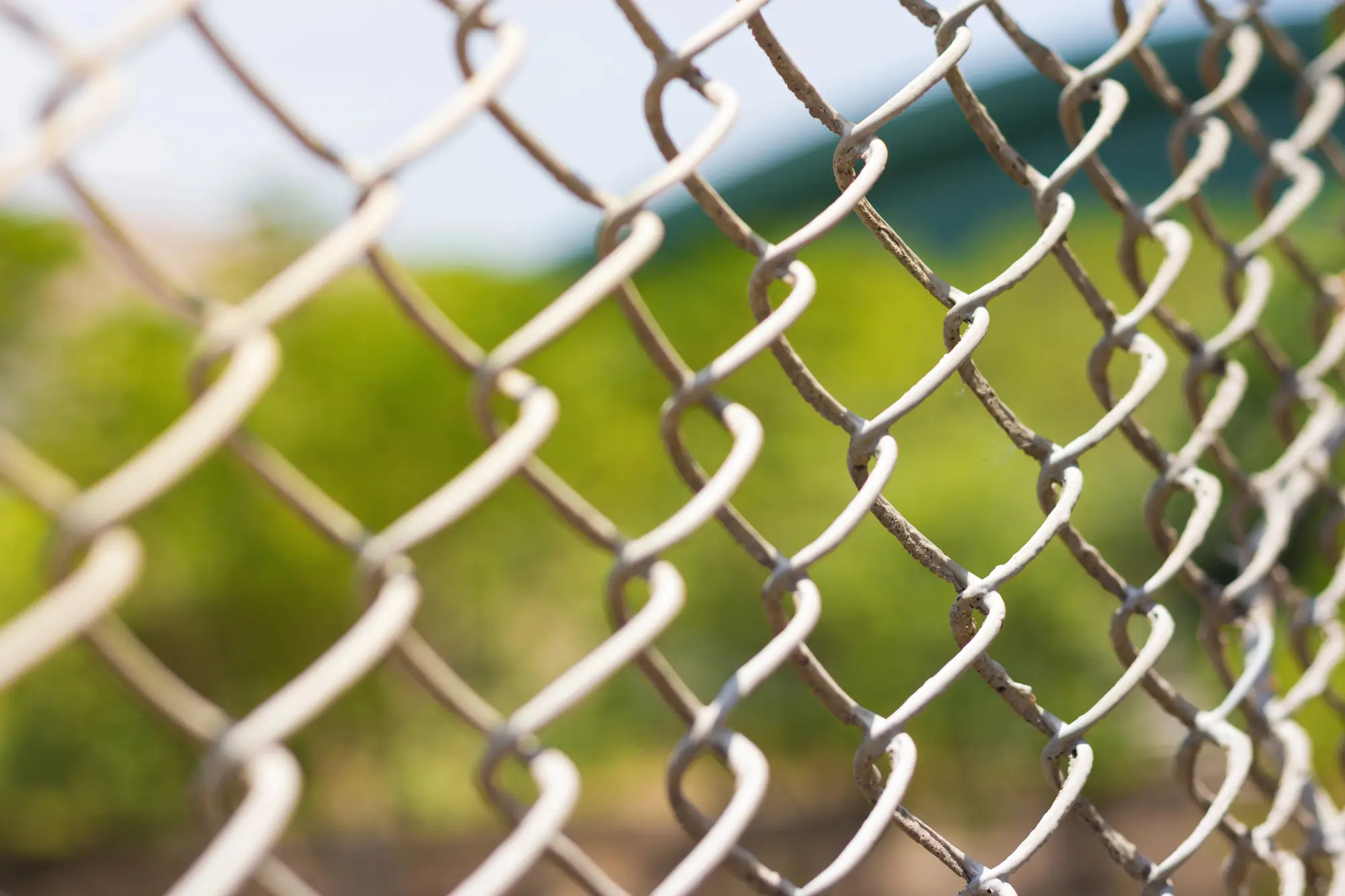 white chain link fence